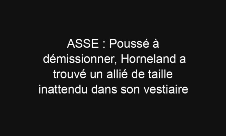 ASSE : Poussé à démissionner, Horneland a trouvé un allié de taille inattendu dans son vestiaire | Mediasportif