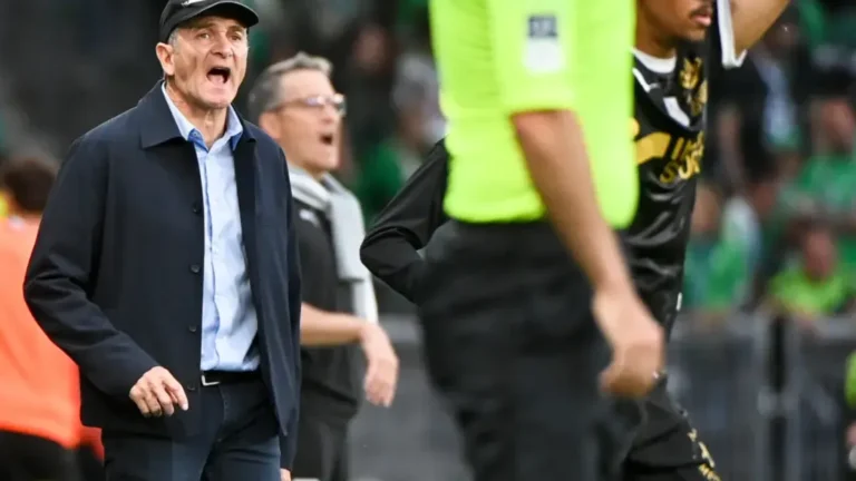 Montanier se livre sur Davitashvili et Stassin avant le playoff | Mediasportif